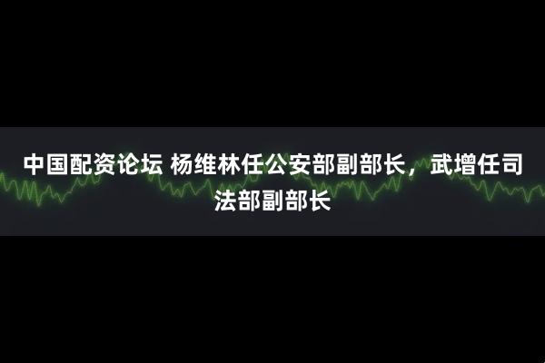中国配资论坛 杨维林任公安部副部长，武增任司法部副部长