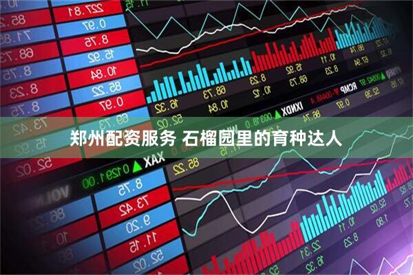 郑州配资服务 石榴园里的育种达人