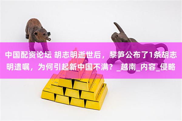 中国配资论坛 胡志明逝世后，黎笋公布了1条胡志明遗嘱，为何引起新中国不满？_越南_内容_侵略