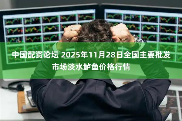 中国配资论坛 2025年11月28日全国主要批发市场淡水鲈鱼价格行情