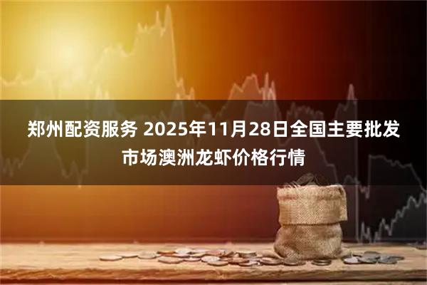郑州配资服务 2025年11月28日全国主要批发市场澳洲龙虾价格行情